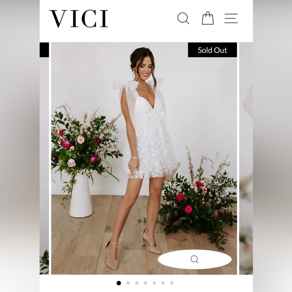 NWT VICI Collection - Heavenly Beauty Floral Appliqué Mini Dress